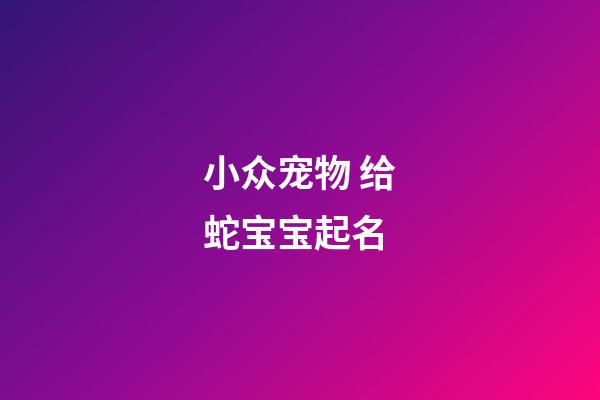 小众宠物 给蛇宝宝起名